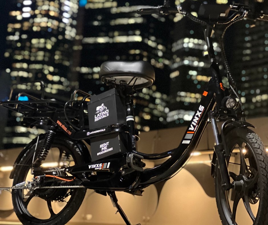 Pro E-Bike