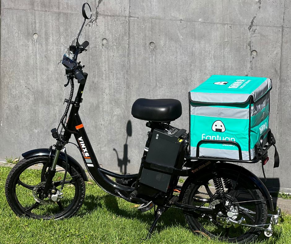 Regular E-Bike